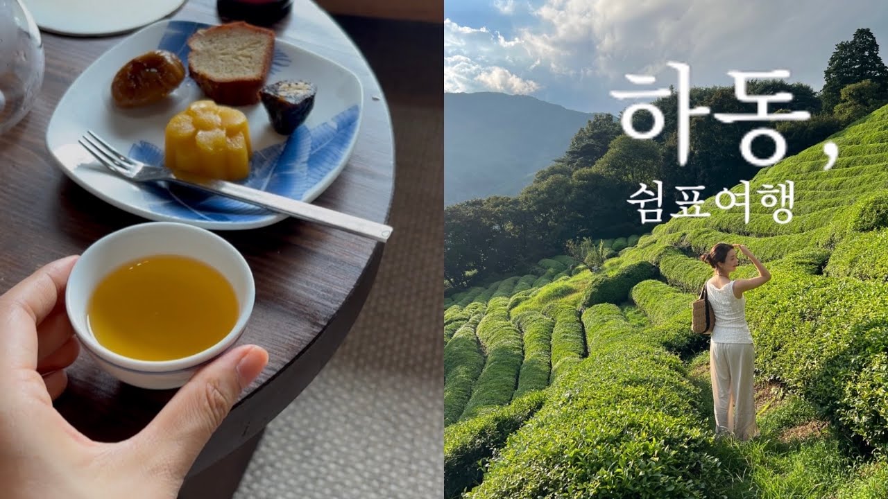 [하동 여행] 비와 찻잔사이🍵, 시골집에서 1박 2일 힐링여행 | 30대 수다의 기록, 숙소 추천, 금향다원, 촌캉스, 웰니스