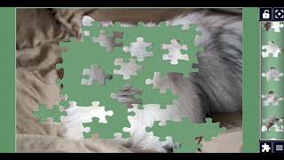 A White Persian Cat Close-Up 🐱 | Relaxing Jigsaw Puzzle Game with Satisfying Sounds  screenshot 2