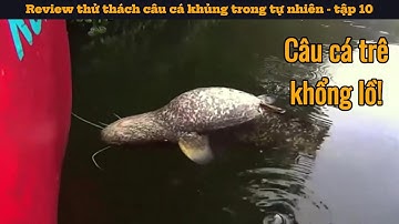 Câu cá trê khổng lồ trong rừng nguyên sinh | Review thử thách câu cá khủng trong tự nhiên - tập 10