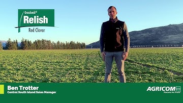 Relish Red Clover - Agricom Spring 2020