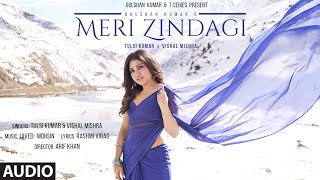 MERI ZINDAGI (Audio): Tulsi Kumar, Vishal Mishra | Javed - Mohsin | Harsh Beniwal, Jiya Shankar