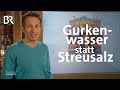 Gurkenwasser statt Streusalz: Winterdienst in Niederbayern | Gut zu wissen | BR