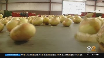 Salmonella Outbreak Linked To Onions Expands