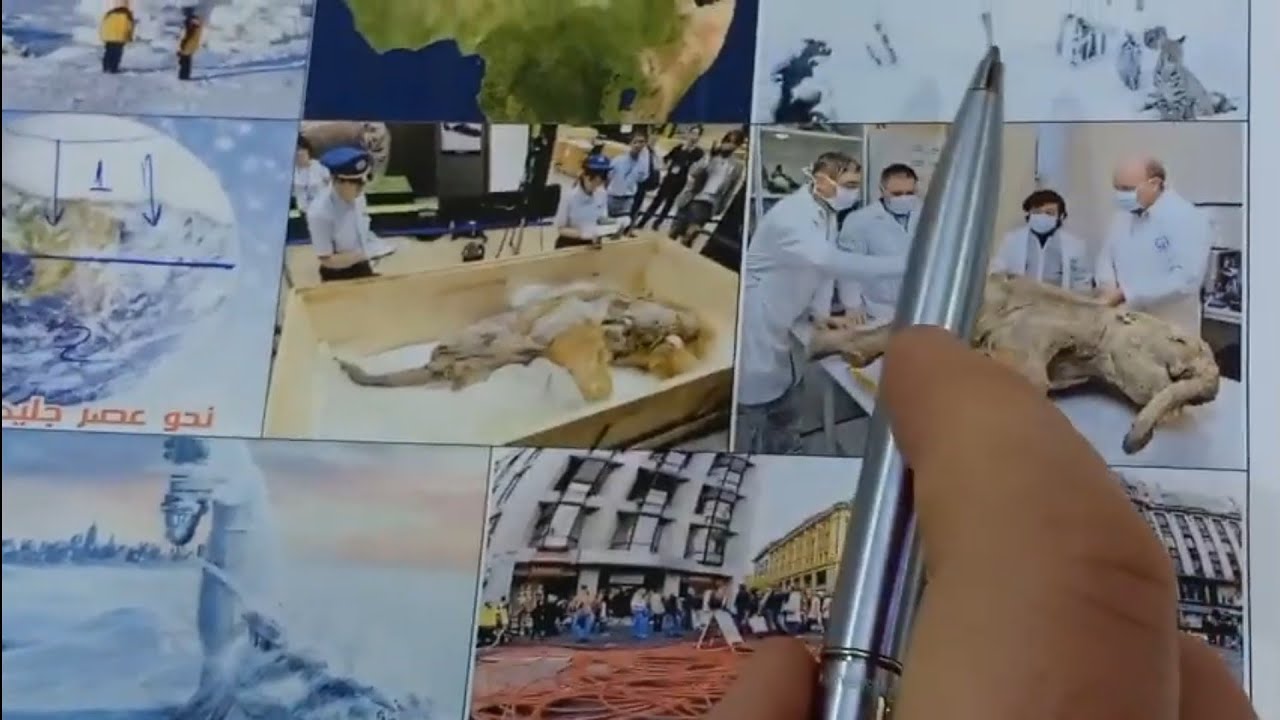 تباين الظروف البيئية