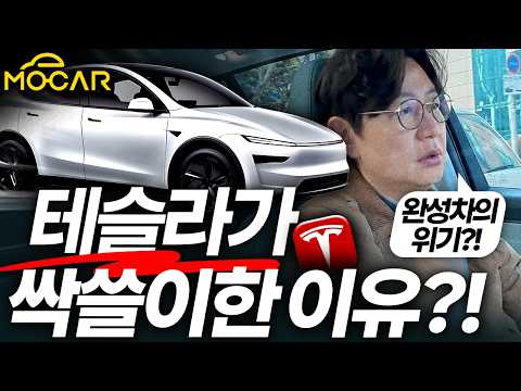 독일차 힘들고, 중국차 뜨는 이유...자동차에도 <strong>보라색</strong> 소가 필요해! VLOG