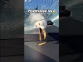 This AinтАЩt No Ordinary Seagull ЁЯШ This AinтАЩt No Ordinary Seagull ЁЯШ