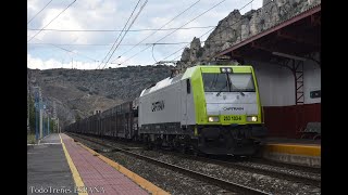 LLD Madrid - Hendaya / Trenes en las cercanías de Pancorbo