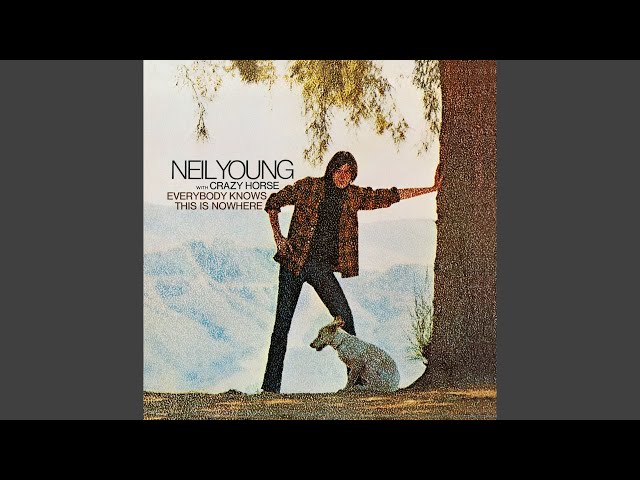 Neil Young - Cinnamon girl