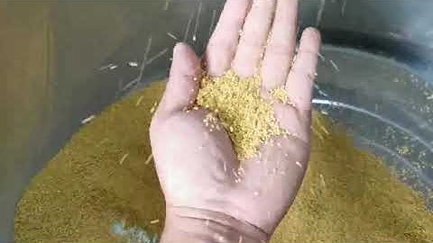 Millet Color Sorter Machine-Q32