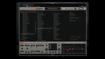 Zebra Valis Walkthrough Video