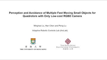 Perception and Avoidance of Multiple Fast Moving Small Objects for Quadrotors