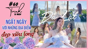 Ngọc Trinh - My Day #60 | Xiêu lòng ngất ngây với vẻ đẹp Đà Lạt, Trinh Trinh có phải là 