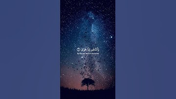 والنجم اذا هوى || قران كريم