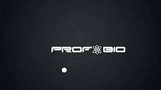 Loop Logo Animation