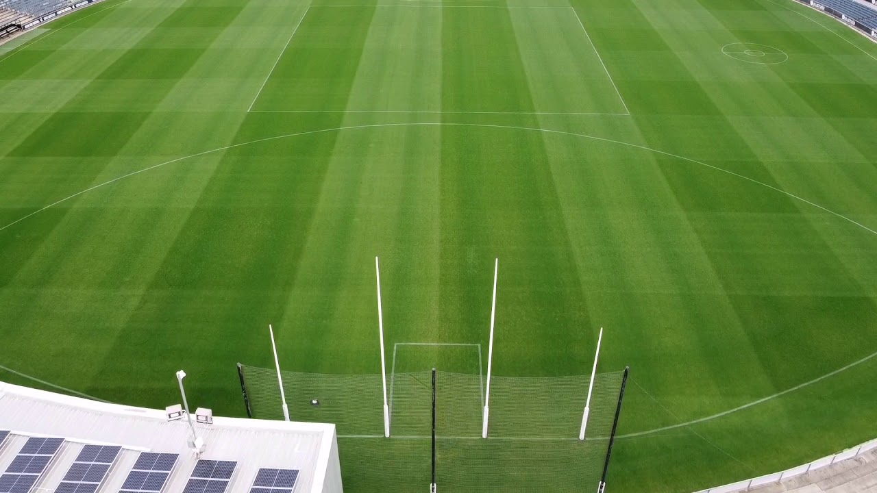 Carlton Football club Carlton Blues  Ikon Park Princes Park