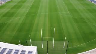 Carlton Football Club Carlton Blues  Ikon Park Princes Park