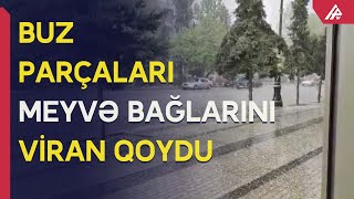 Yevlaxda Dolu Yağdı, Təsərrüfatlara Ziyan Dəydi - Apa Tv
