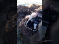 pesca sub #amém #mensagemdefé #jesusteama #oraçãodanoite #amen #jesuslovesyou #fe #pesca