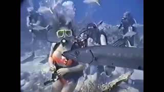Woman Scuba Diver Feeds Barracuda 2000S