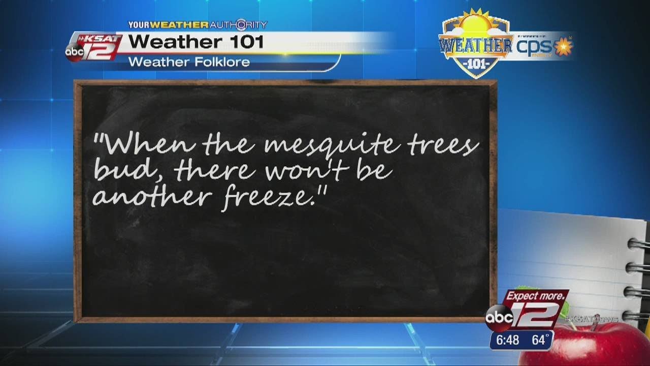 Weather 101 Do mesquite trees predict final freeze for the season