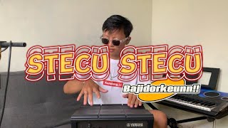 Stecu Cover Kendang Dtx Bajidor