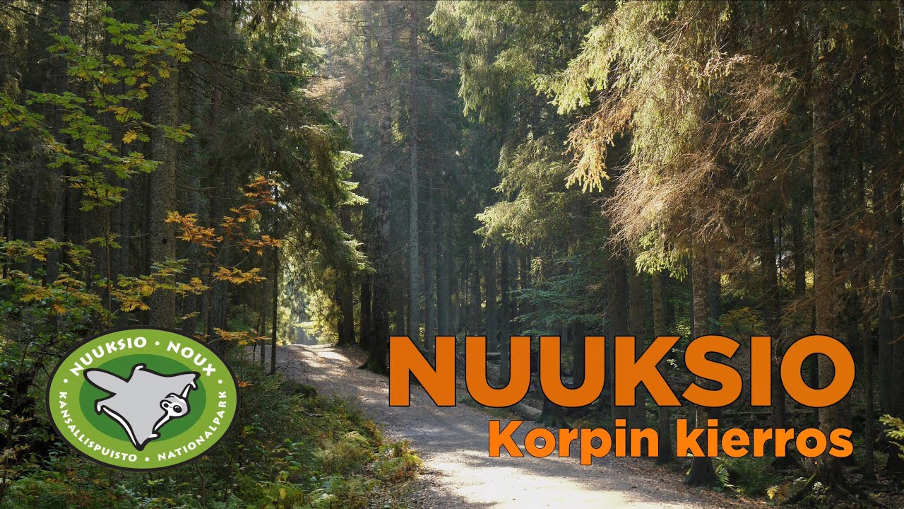 Nuuksio - Korpin kierros syyskuussa | Päiväretki