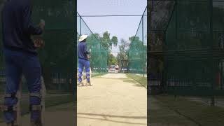 flick with soft hands #cricketsamurai #cricket #flick#cricket #viral #shorts screenshot 2