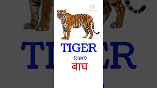 TIGER | Learn Tiger Spelling | Easy Learning for Kids #shorts