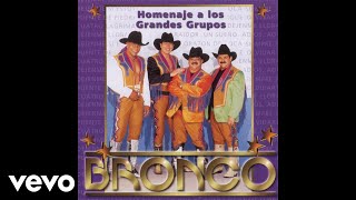 Video thumbnail of "Bronco - ¿Por Qué? (Cover Audio)"