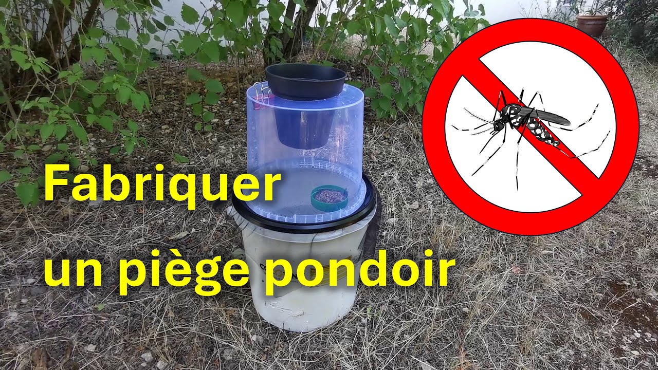 Fabriquer un piège à moustique pondoir (capture avant qu'ils pondent !)