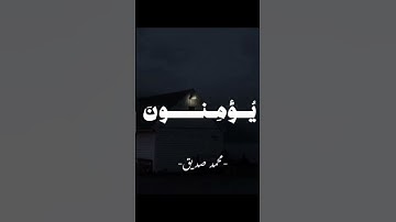 قرآن كريم بصوت الشيخ محمد صديق المنشاوي #قرآن #قران_كريم #راحة_نفسية