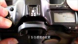 憧れの一眼レフカメラ「フィルムカメラ」-3「EOS-1N 詳細設定」