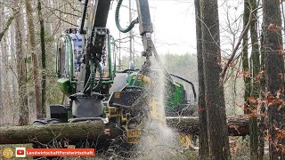 John Deere 1170G Harvester im Starkholz