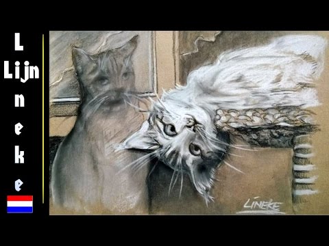 Video: 3 manieren om een kat met griep te behandelen