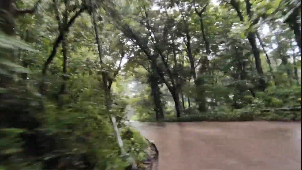 LEWAT HUTAN JALAN ALTERNATIF BOJA- KALIWUNGU MASIH BANYAK PEPOHONAN 