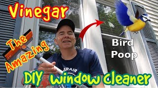 DIY Window Cleaner! Vinegar comes to the rescue. Again!