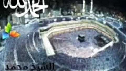 سورة النازعات، الشيخ محمد المحيسني