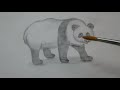 Panda  drawing shorts  aleen khalili