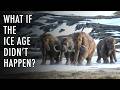 Exploring the Impact of the Ice Age
