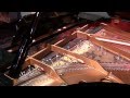 John Cage - Sonata V (from Sonatas and Interludes) - Inara Ferreira, prepared piano
