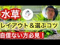 【10分で分かる!】はじめてでも真似できる水草レイアウト実践公開!