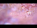 透明になる午後 AmenoTikai