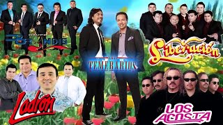 BRYNDIS, LADRON, LIBERACION, TEMERARIOS, ACOSTA🤠40 RECUERDOS DEL AYER