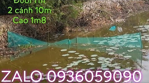 Bán dớn bắt cá. Bán dớn chặn sông. Bán xăm bẫy cá. Bán xăm chặn sông. Bán đuôi chuột bắt cá.