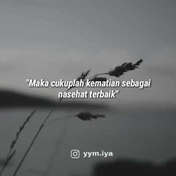 Story wa - Mengejar dunia