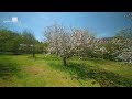 video YouTube