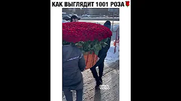 1001 роза с мамой