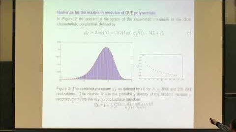 Prof. Yan Fyodorov | Characterstic polynomials of random matrices and logarithmically correlated