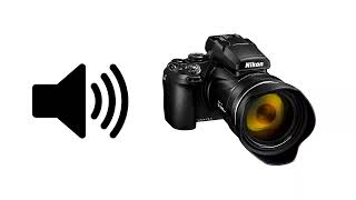 Camera Zoom - Sound Effect | ProSounds Resimi