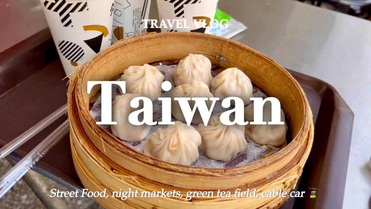 Ep3. NingXia & GongGuan Night Markets, Taiwan Street Foods, Maokong Gondola, Tea plant, sightseeing